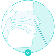 Lower nasal swab diagram