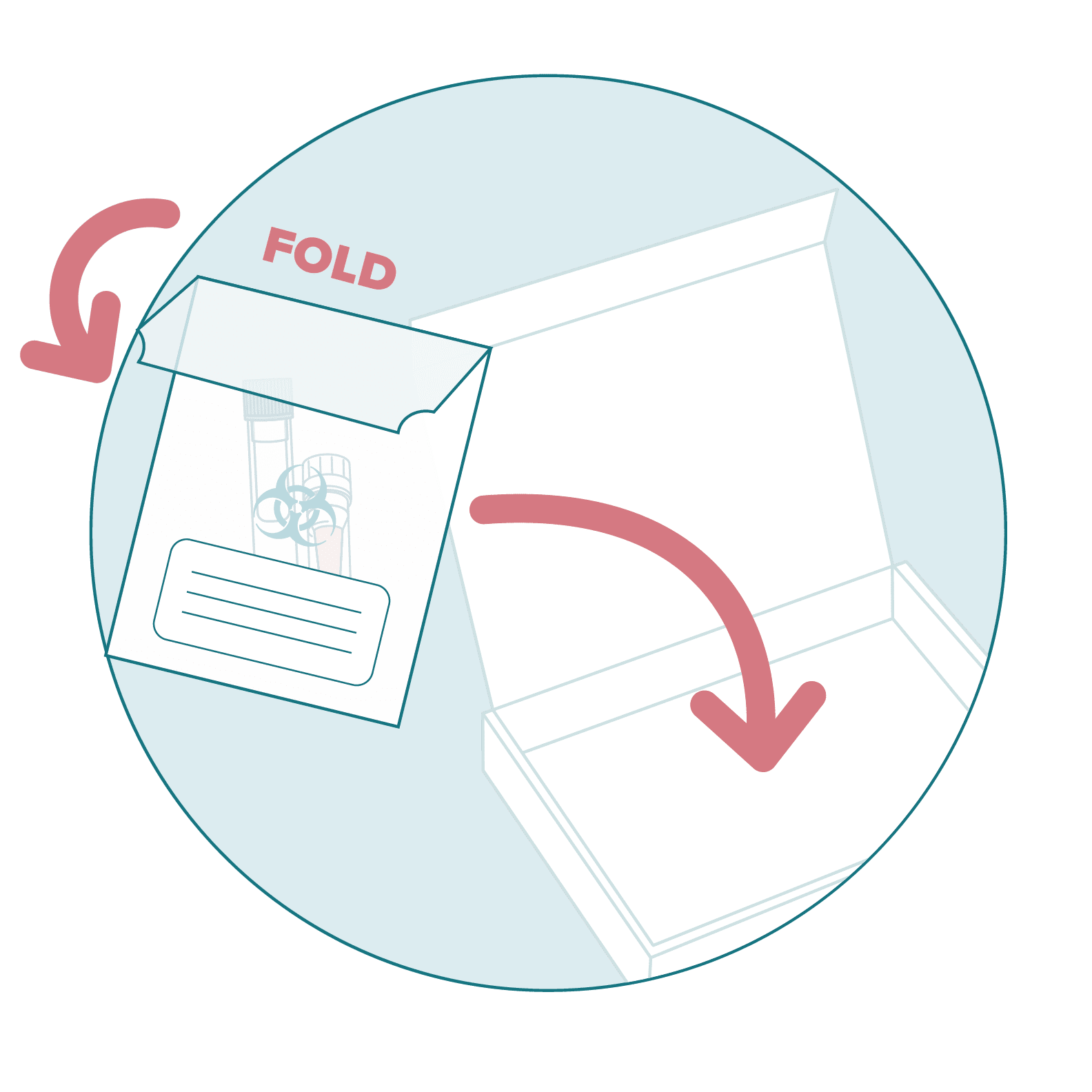 A biohazard bag with samples inside being placed inside a LetsGetChecked kit box. The biohazard bag flap has been folded over, sealing the bag.