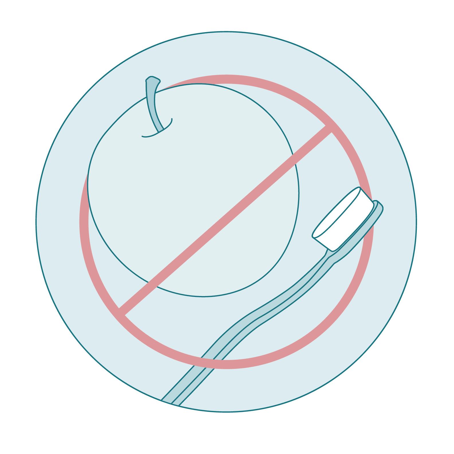 'No' symbol over apple and toothbrush