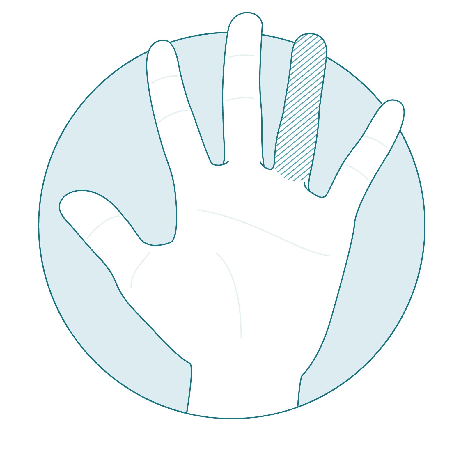 A hand with the fourth (ring) finger shaded in.