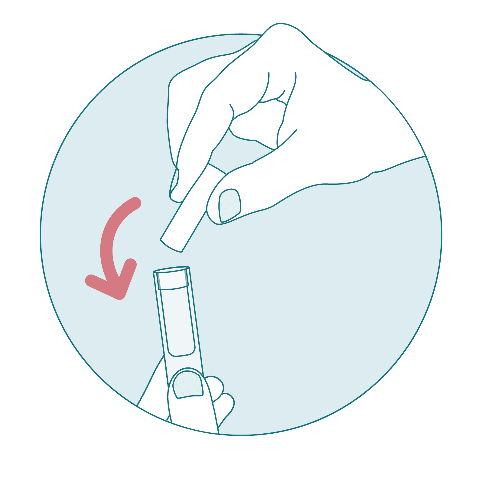 A sample collection sponge being placed inside a sample collection tube.